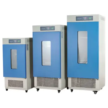 Constant-Temperature Incubator