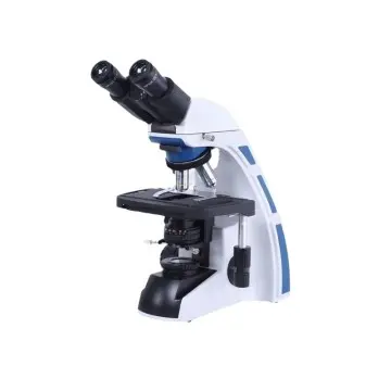 Fluorescence Microscope
